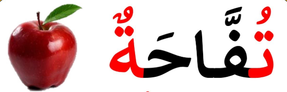 Letter ت (Ta) - Spot two eyes on an apple for Ta