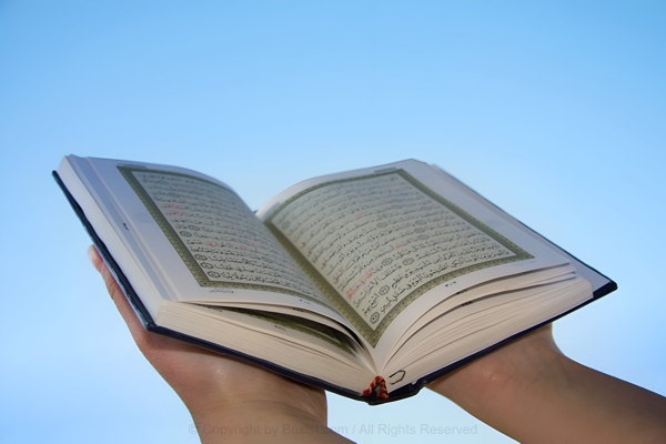 What is the Importance of Reading the Quran with Understanding?