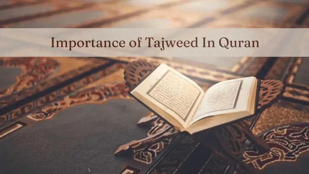 What is the Importance of Tajweed?