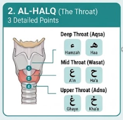 Tajweed and Makhraj - Full Guide 4 image 74