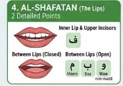 Tajweed and Makhraj - Full Guide 7 image 76