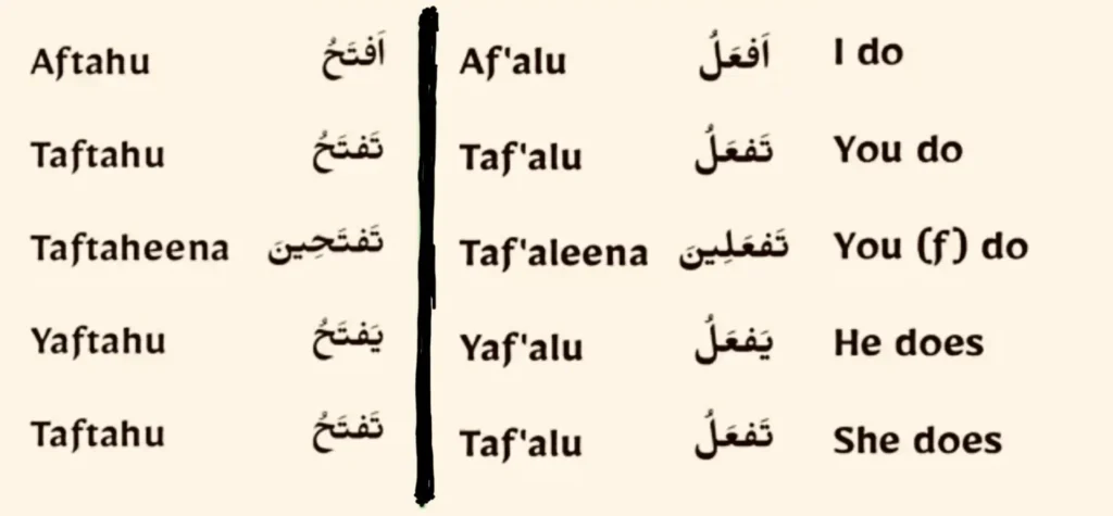 Arabic Present Tense Conjugation