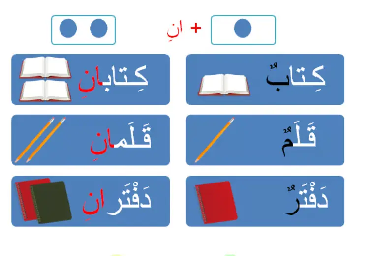 Dual Nouns in Arabic