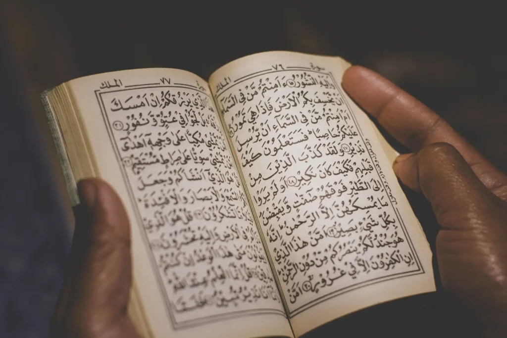 What Is Madd Tamkeen?