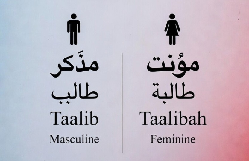 Gender in Arabic