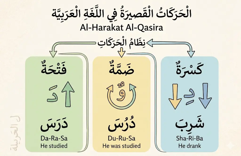 Short Vowels in Arabic