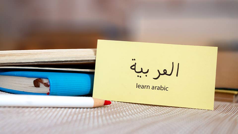 Summer Arabic Programs