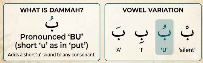 Dammah in Arabic 1 image 202